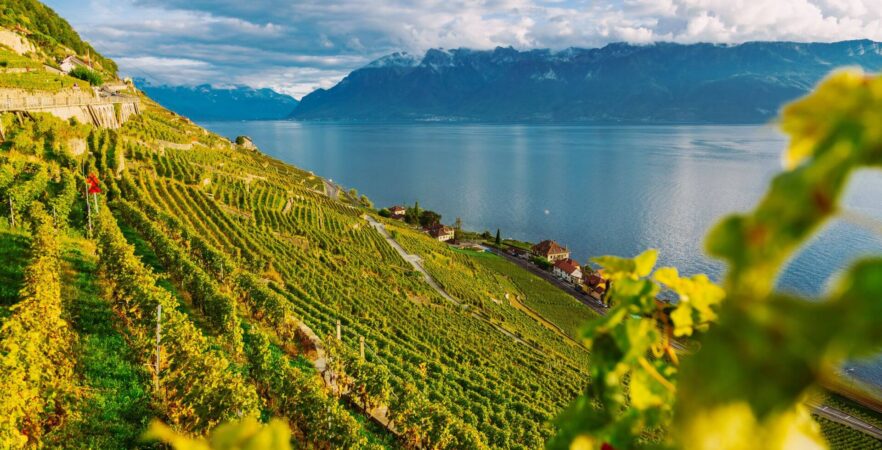 Lavaux Vineyard, a must-visit place during a tour to Switzerland