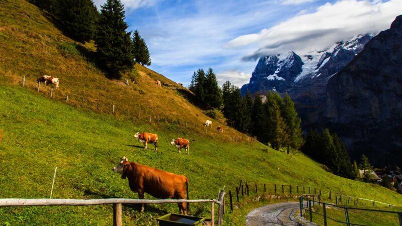 Mürren region, Switzerland