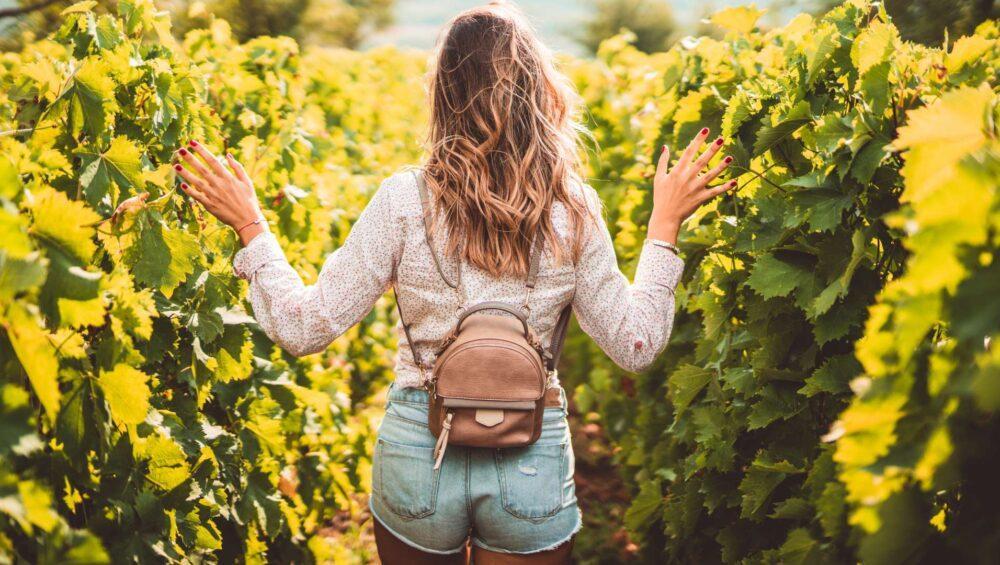 A woman is walking in a vineyard